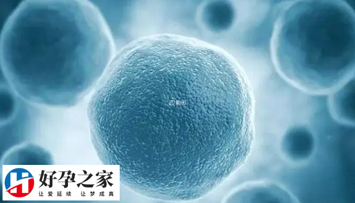 供卵为什么要冻还要半年后才能移植