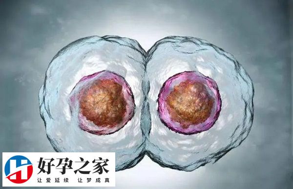 降调移植失败后激素多久恢复正常