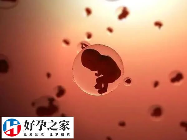 胚胎移植后28天一超检查结果怎样看是否坐稳