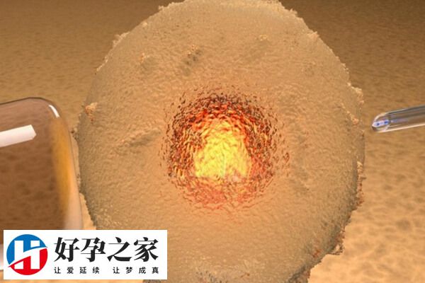 胚胎移植后检查到有胎心胎芽还要继续黄体支持