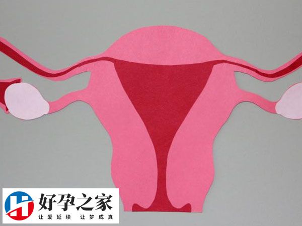 试管攒卵要攒多少颗