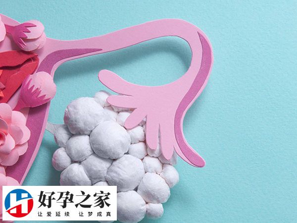多囊卵巢综合征怎么调理