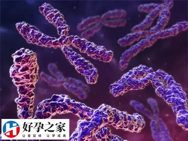 试管三代冻胚移植后抽血验男女准确率有多大