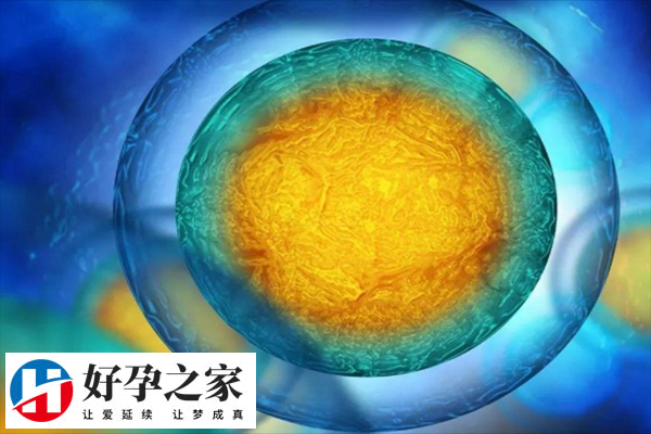 试管移植后hcg低于几不建议保胎