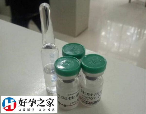 囊胚移植后为何打绒促