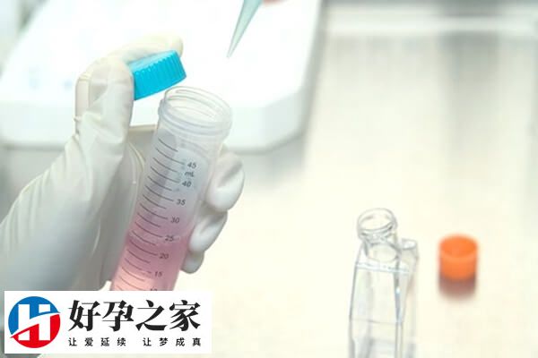 试管大概几次能成功